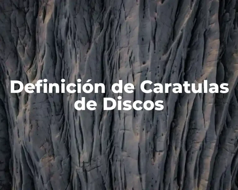 Definición de Caratulas de Discos