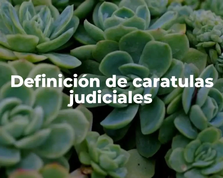 Definición de caratulas judiciales