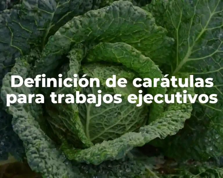 Definición de carátulas para trabajos ejecutivos