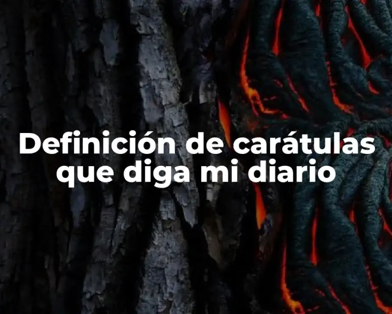 Definición de carátulas que diga mi diario