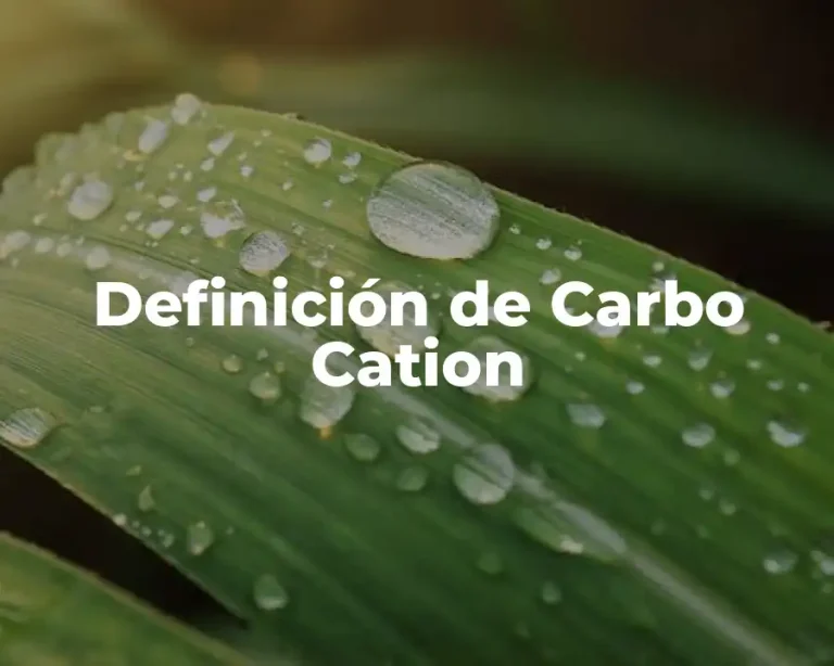 Definición de Carbo Cation