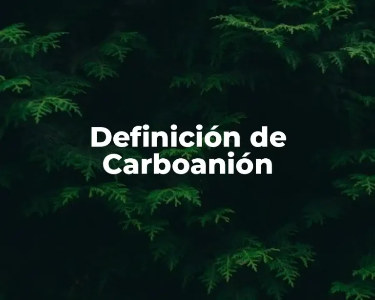 Definición de Carboanión