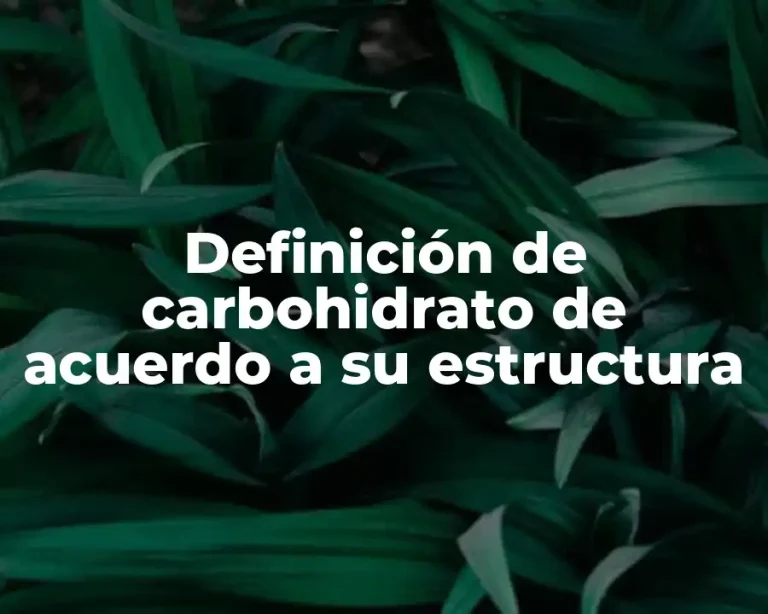 Definición de carbohidrato de acuerdo a su estructura