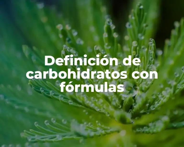 Definición de carbohidratos con fórmulas