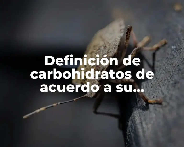 Definición de carbohidratos de acuerdo a su clasificación