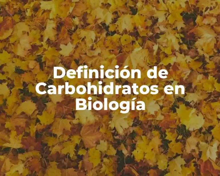 Definición de Carbohidratos en Biología