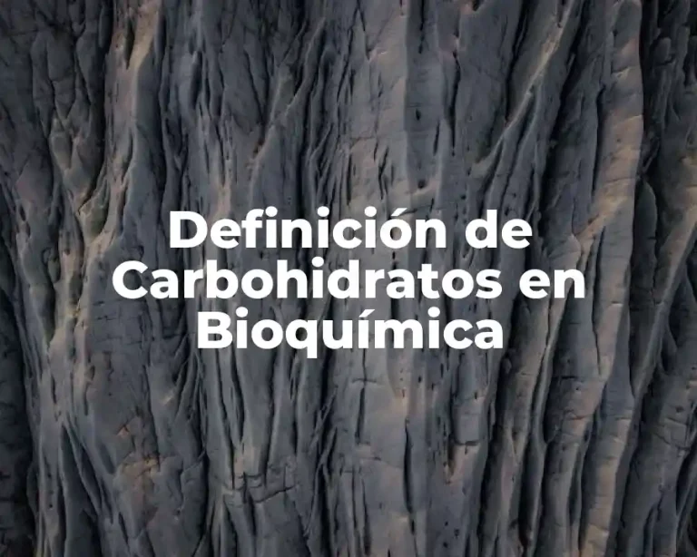 Definición de Carbohidratos en Bioquímica