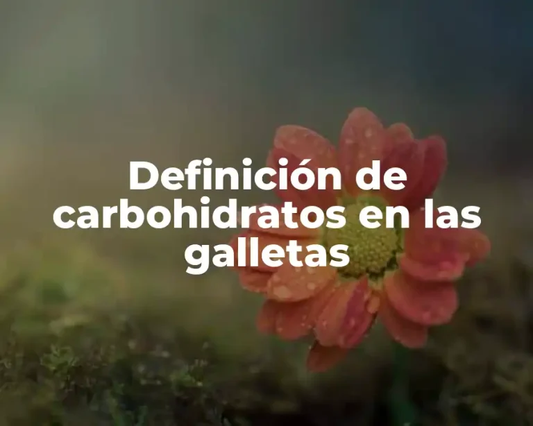 Definición de carbohidratos en las galletas