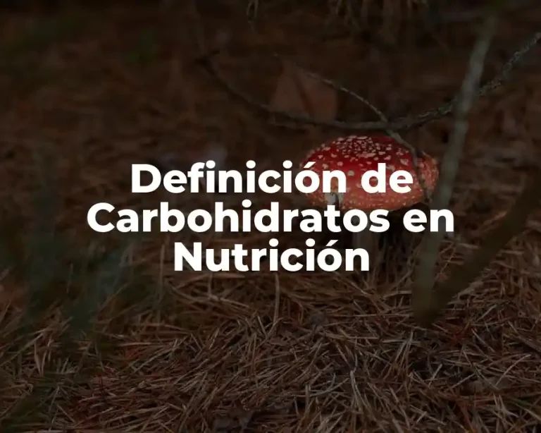 Definición de Carbohidratos en Nutrición
