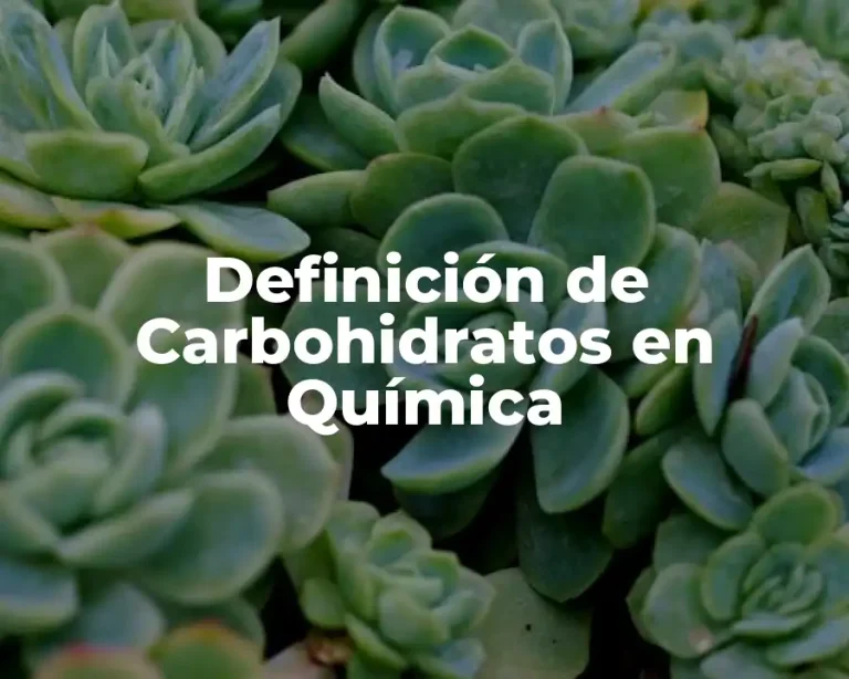 Definición de Carbohidratos en Química