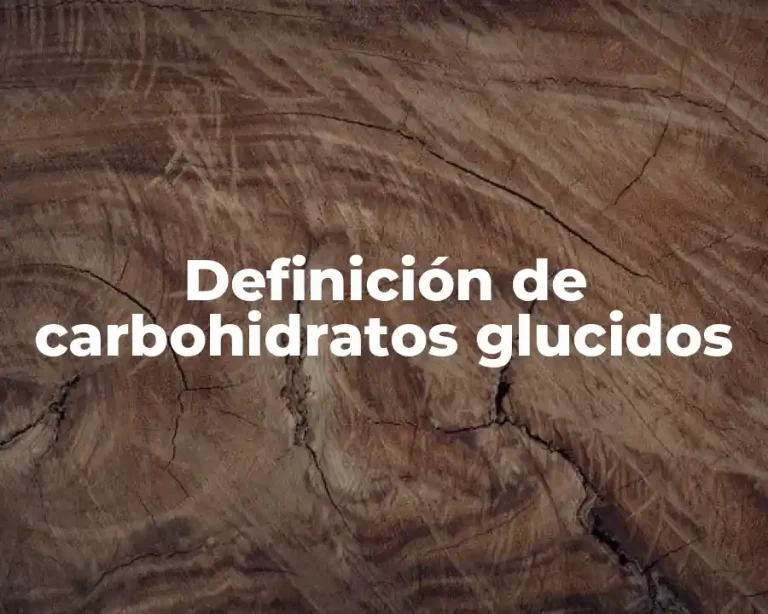 Definición de carbohidratos glucidos