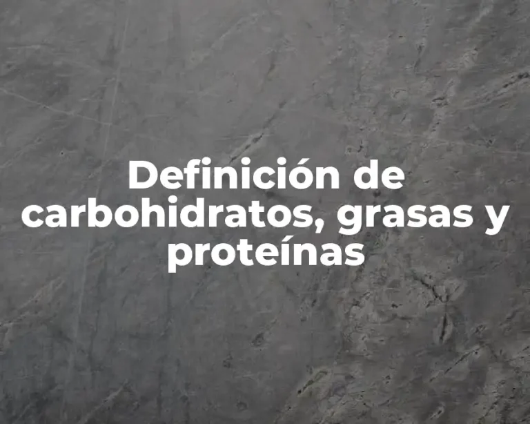 Definición de carbohidratos, grasas y proteínas