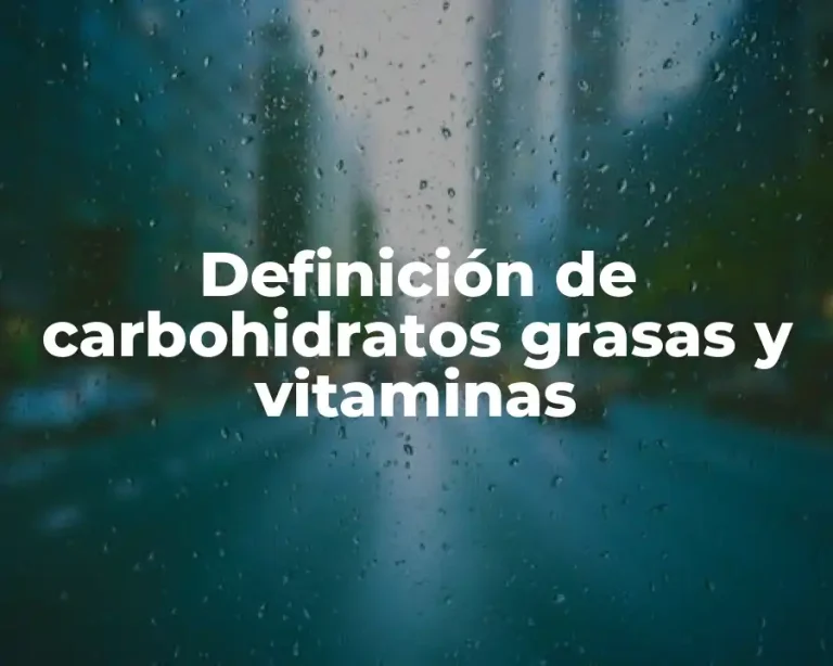 Definición de carbohidratos grasas y vitaminas