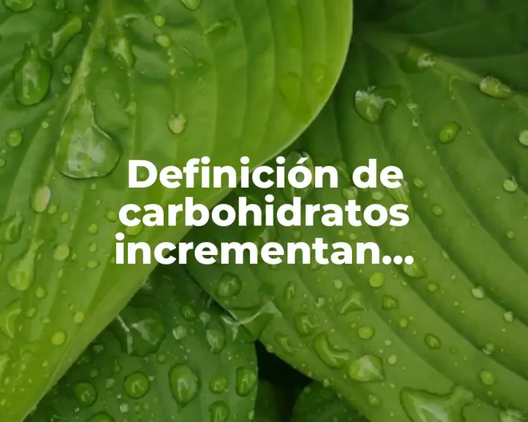Definición de carbohidratos incrementan trigliceridos