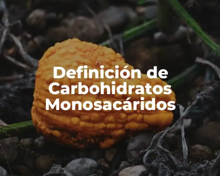 Definición de Carbohidratos Monosacáridos