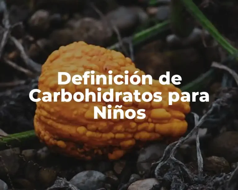 Definición de Carbohidratos para Niños