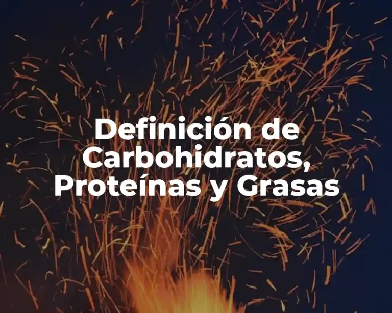 Definición de Carbohidratos, Proteínas y Grasas