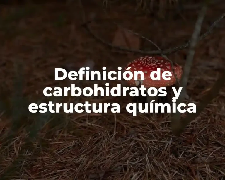 Definición de carbohidratos y estructura química