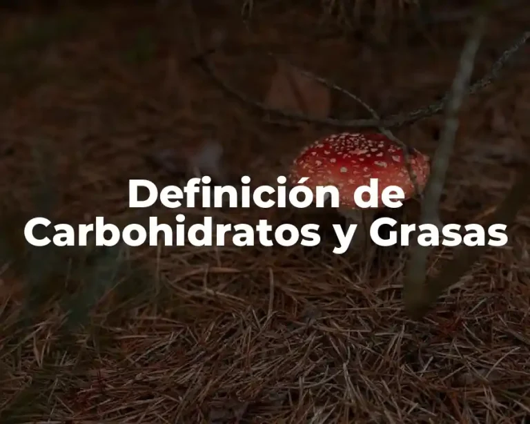 Definición de Carbohidratos y Grasas