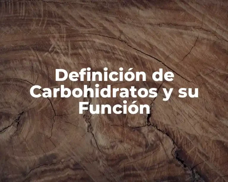 Definición de Carbohidratos y su Función