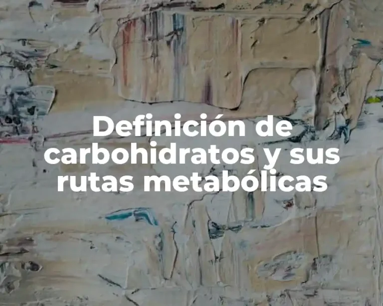 Definición de carbohidratos y sus rutas metabólicas