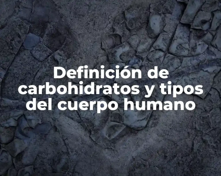 Definición de carbohidratos y tipos del cuerpo humano