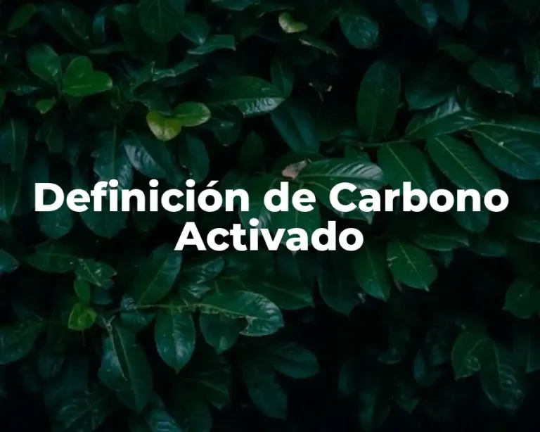 Definición de Carbono Activado