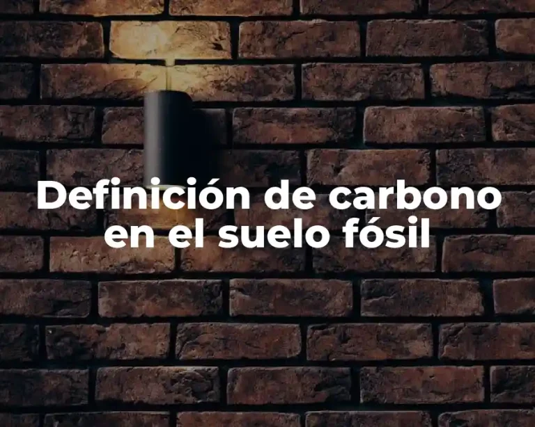 Definición de carbono en el suelo fósil
