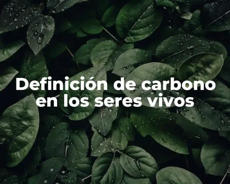 Definición de carbono en los seres vivos