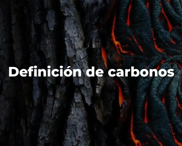 Definición de carbonos