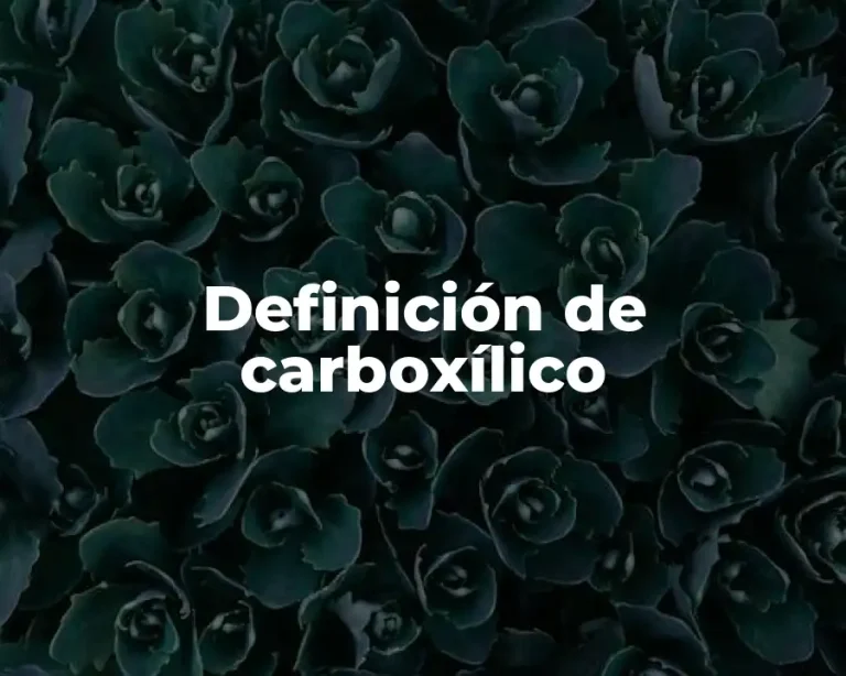 Definición de carboxílico