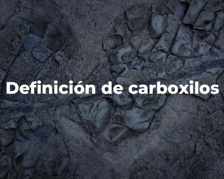Definición de carboxilos