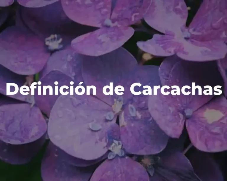 Definición de Carcachas