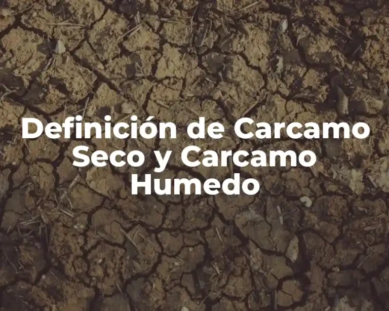 Definición de Carcamo Seco y Carcamo Humedo