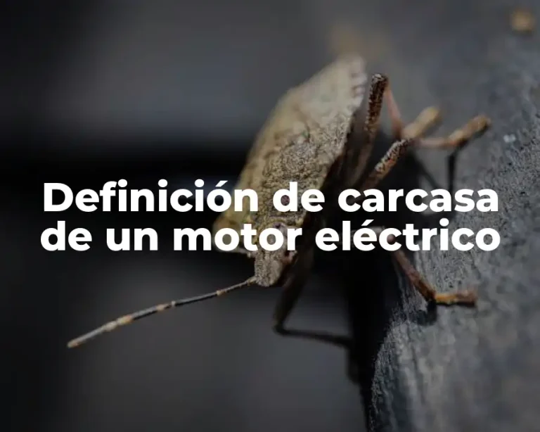Definición de carcasa de un motor eléctrico