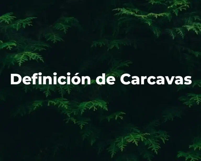 Definición de Carcavas