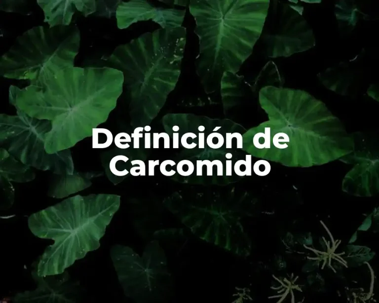 Definición de Carcomido