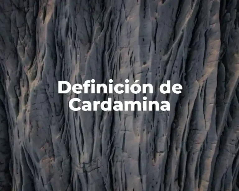 Definición de Cardamina