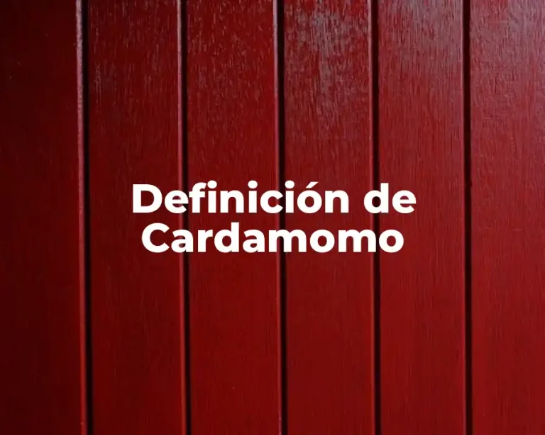 Definición de Cardamomo