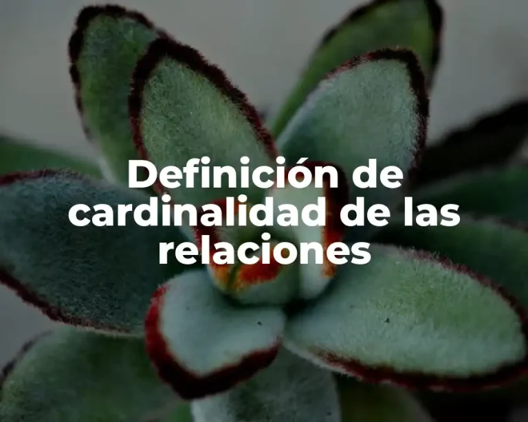 Definición de cardinalidad de las relaciones
