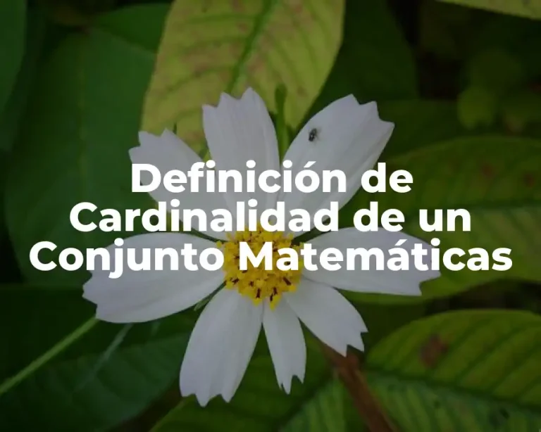 Definición de Cardinalidad de un Conjunto Matemáticas