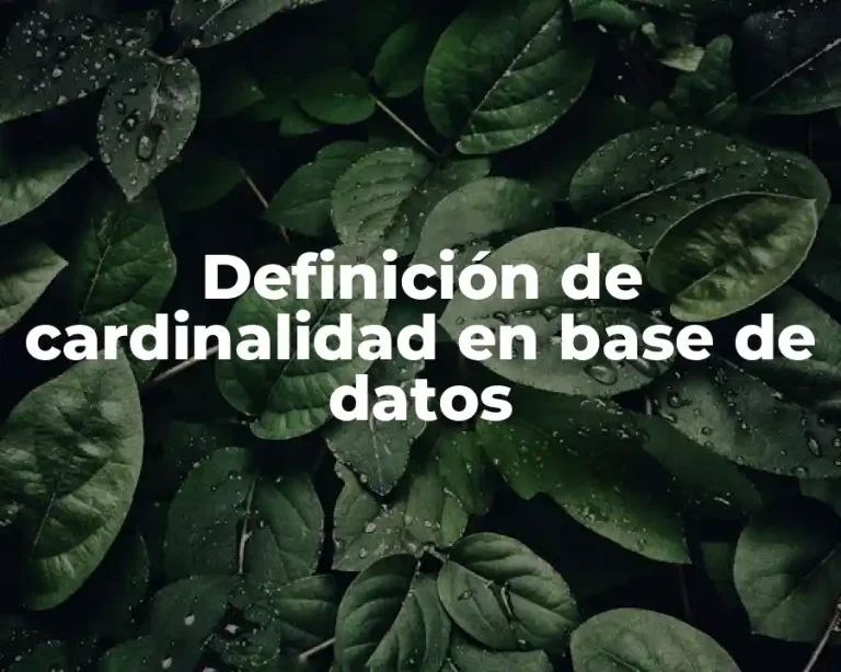 Definición de cardinalidad en base de datos