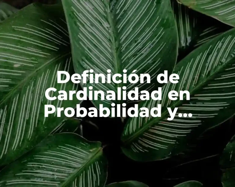 Definición de Cardinalidad en Probabilidad y Estadística