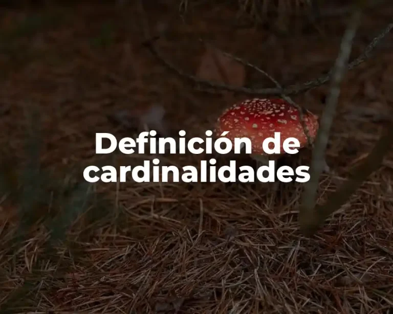 Definición de cardinalidades