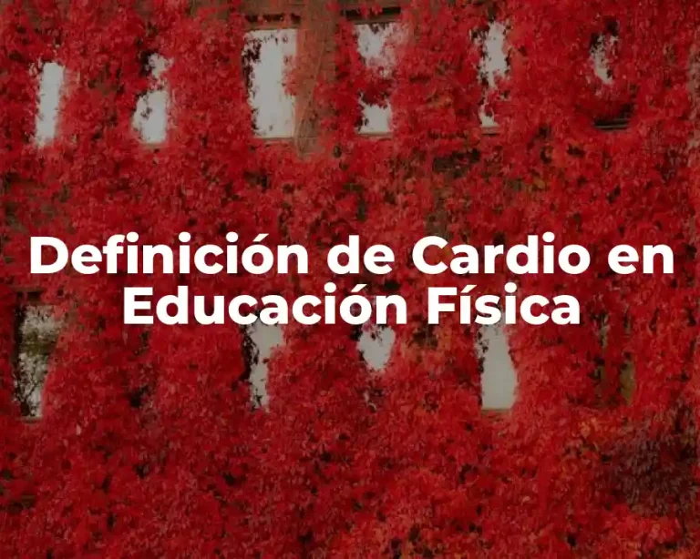 Definición de Cardio en Educación Física
