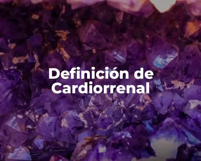 Definición de Cardiorrenal