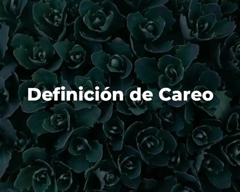 Definición de Careo