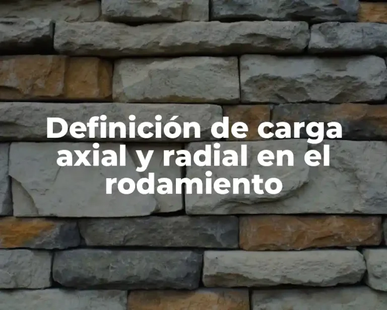 Definición de carga axial y radial en el rodamiento
