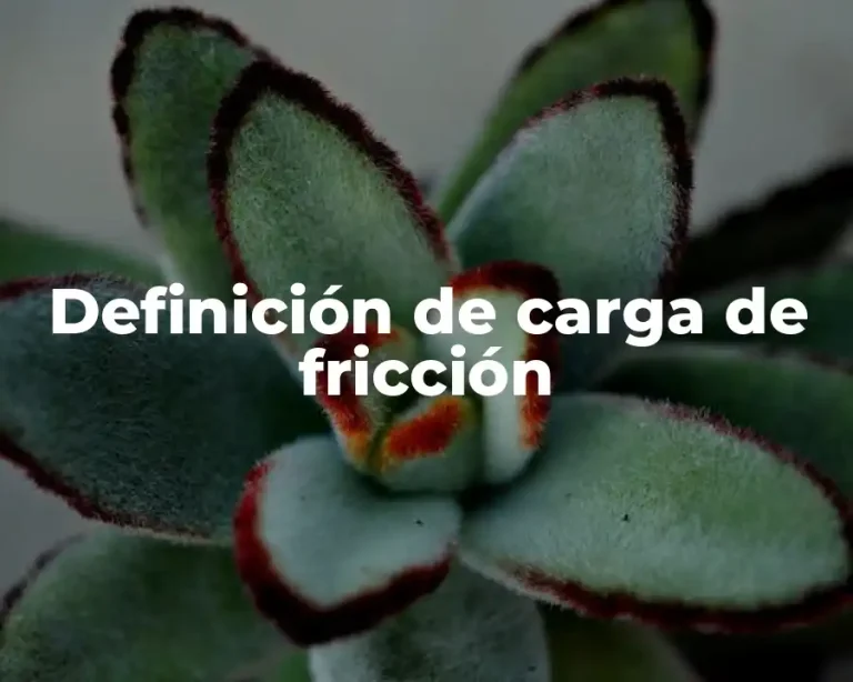 Definición de carga de fricción