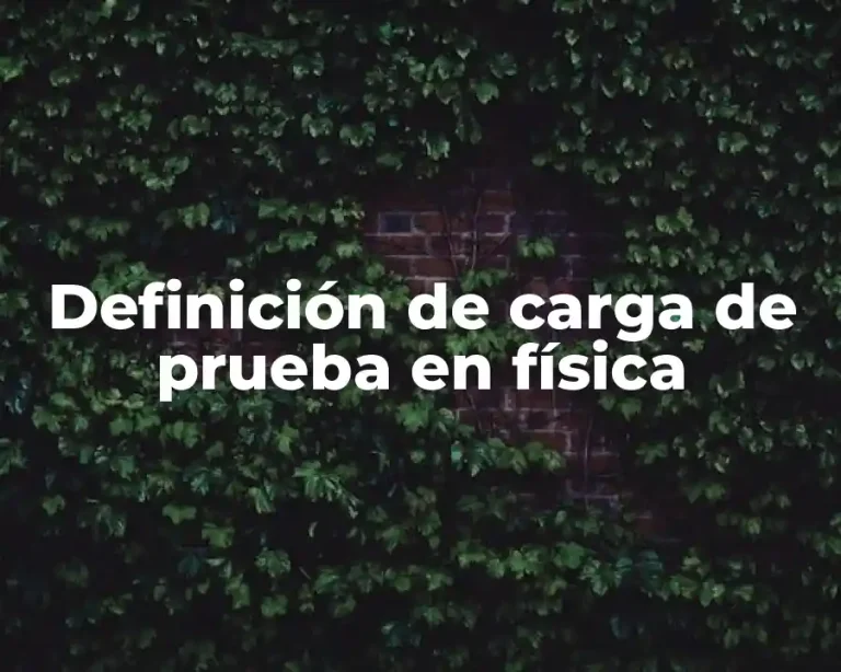 Definición de carga de prueba en física